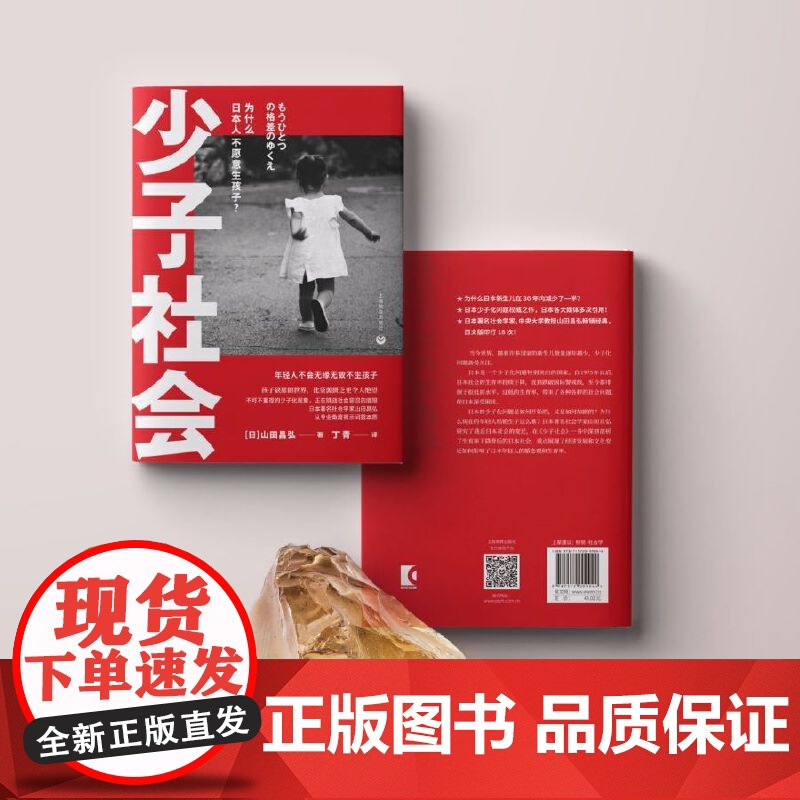 少子社会:为什么日本人不愿意生孩子? 山田昌弘 丁青 译 上海教育出版社 正版书籍高清大图