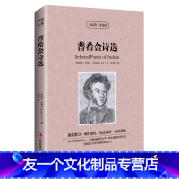 【友一个】书籍普希金诗选原版原著双语版jdjl中英文对照英汉对照初中高中生必读世界文学名著中文版+英文一