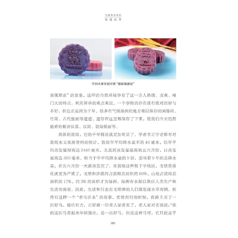 醉染图书写给青少年的敦煌故事 国宝流散9787545313高清大图
