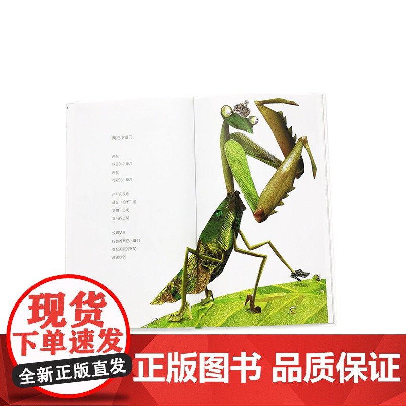 魔法象·图画书王国 昆虫万岁 儿童绘本3-6-7-8周岁幼儿园早教书籍启蒙一二三年级小学生课外阅读书籍睡前故事高清大图