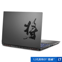 七彩虹将星X15 i7 12700H/RTX3060L笔记本(星耀灰)+金士顿500GB SSD固态硬盘 笔记本套装