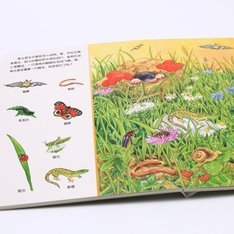 宝宝专注力1000.动物大发现 [正版]宝宝专注力1000.动物大发现