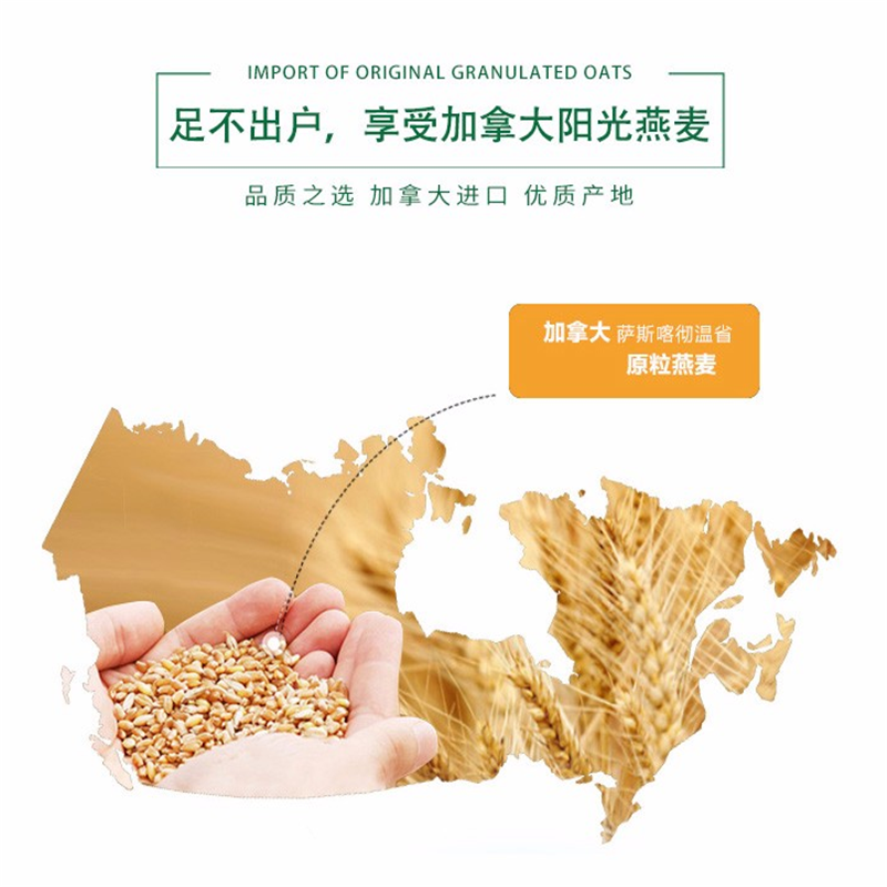 世荣润 加拿大进口原味即食燕麦片 健康营养早餐代餐 膳食纤维全谷物燕麦 即食燕麦精美礼盒装1.5kg 单盒价