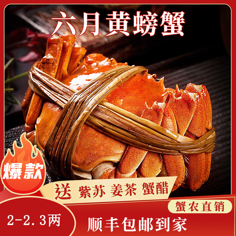 苏州精品大闸蟹鲜活六月黄螃蟹河蟹2两10只装公母随机大螃蟹鲜甜满黄直达到家死蟹包赔