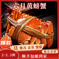苏州大闸蟹蟹灵阁鲜活六月黄大闸蟹2两10只装公母随机大螃蟹鲜甜满黄直达到家死蟹包赔