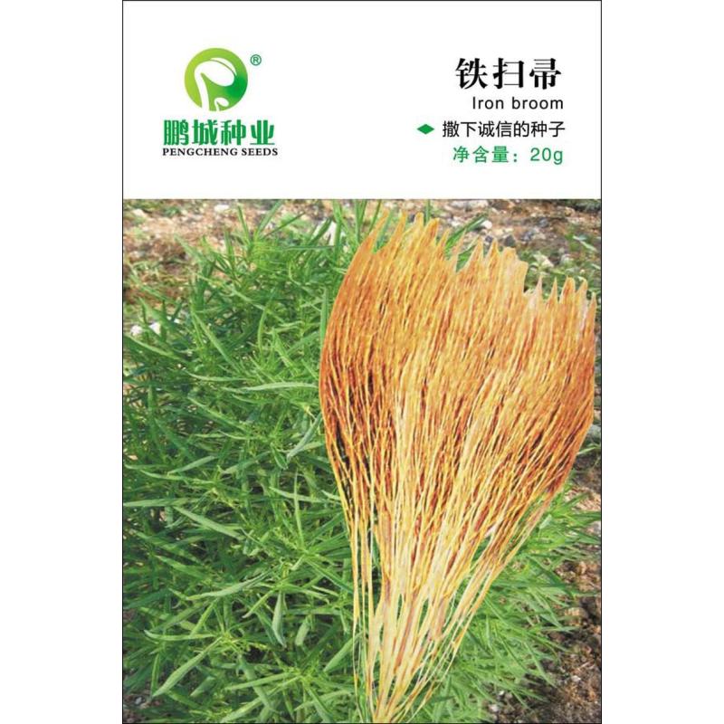 鹏城种业铁扫帚种子一年生地肤子耐用扫帚把高产可药用20g袋统一颜色