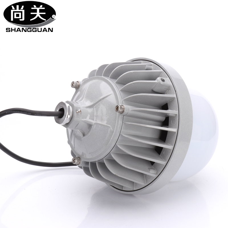 尚关(SHANGGUAN) LED防眩平台灯 SQ-Z23 50W 套高清大图