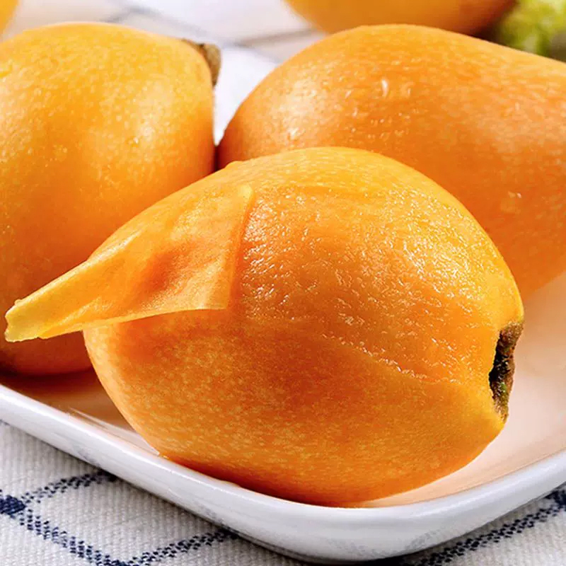 [熊猫鸟]四川五星枇杷 中果 净重4.5斤 新鲜当季水果现摘农家自种高清大图