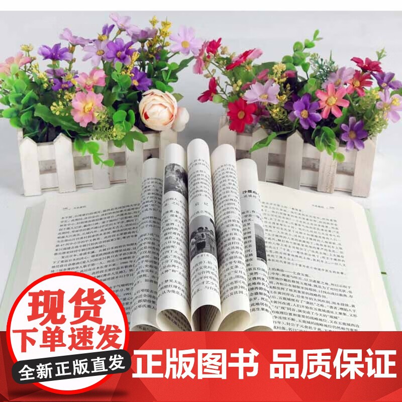 正版 大名密码 邓子涛刘峰著 中国地理历史文化民俗大名县文物遗址非物质文化遗产史志历史文化产业理论研究 天津古籍出版社图高清大图