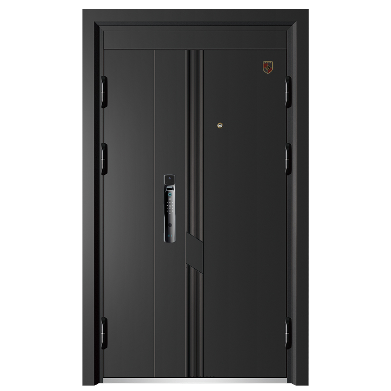 隆琪祥防盗门家用甲级安全门进户门入户门大门定制门子母门指纹锁飞流