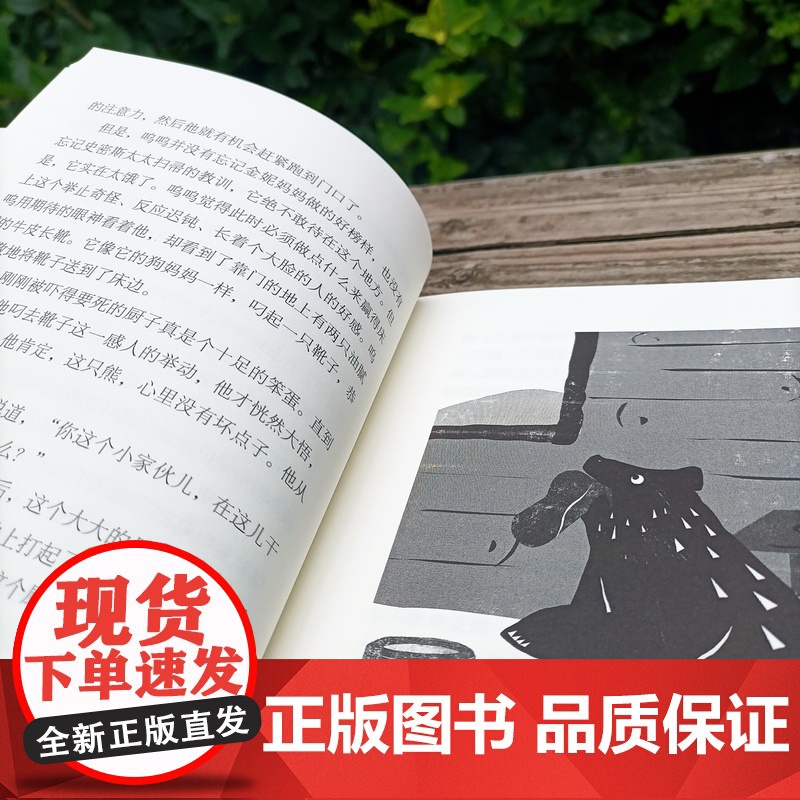 世界动物文学经典译丛 全10册 7-14岁少儿外国儿童文学故事小说图书 春田狐 小学生一二三四五六年级课外阅读物书籍 湖高清大图