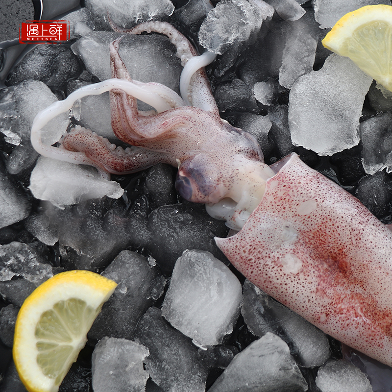 【遇上鲜严选】舟山野生新鲜鱿鱼东海鱿鱼硬皮鱿鱼1斤2个