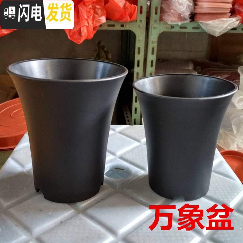 三维工匠万象盆大棚多肉植物12卷玉露老桩花盆黑色磨砂高腰盆加厚塑料 圆万象盆小20个中20个大20个 小花盆容器