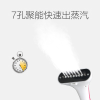 海尔(Haier) 挂烫机 HGS-2166 2.5L 双杆6档 蒸汽挂式 铝材质发热器 立式挂烫机 支持防干烧 熨烫机