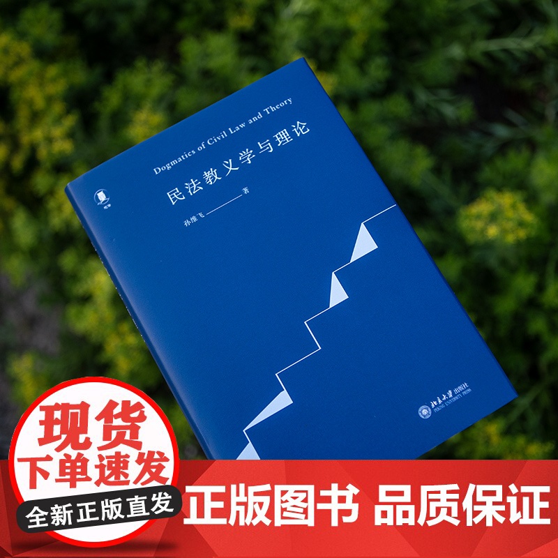 民法教义学与理论 孙维飞 著 法学理论社科 正版图书籍 北京大学出版社高清大图
