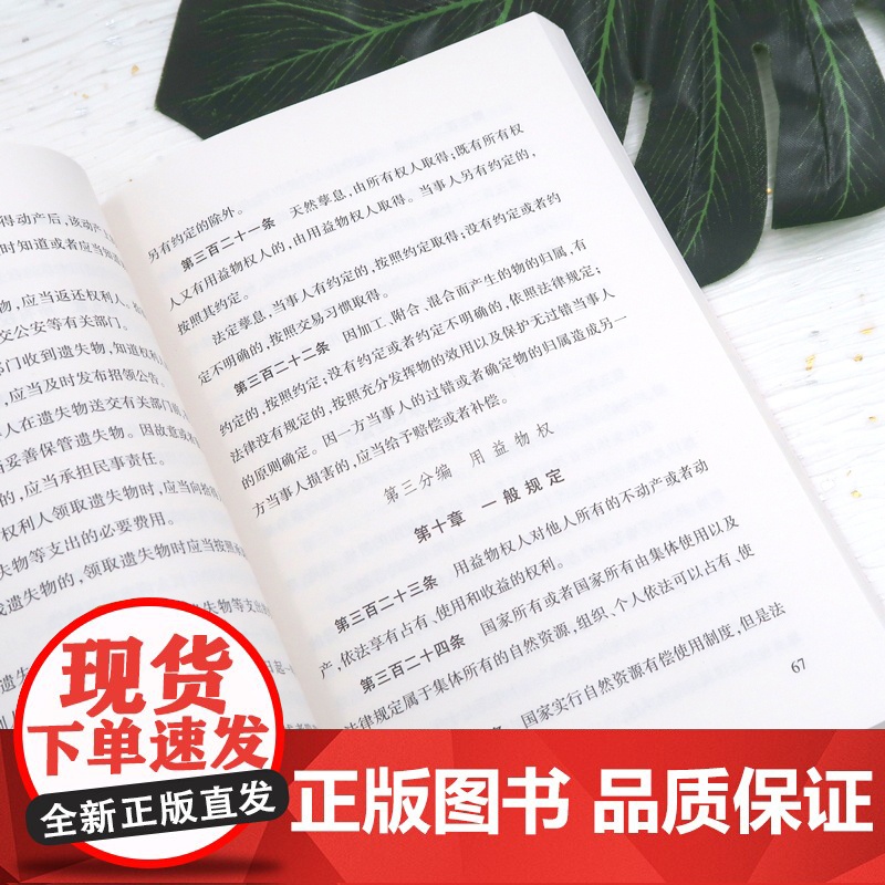10本套装 中华人民共和国民法典 附草案说明 32开 压纹烫金版 法律出版社高清大图