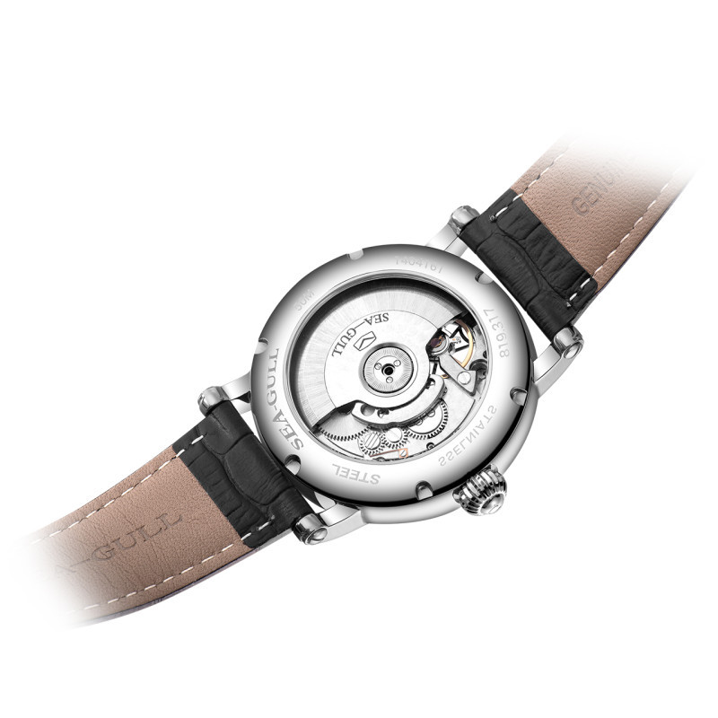 海鸥表(SEAGULL)手表 运动休闲机械表 男表 飞轮系列自动机械 男士手表 819.317高清大图