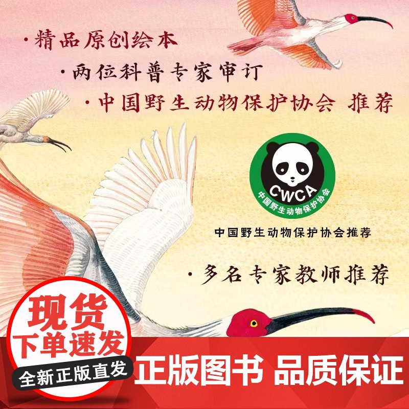 我的飞鸟朋友:的旅程高清大图