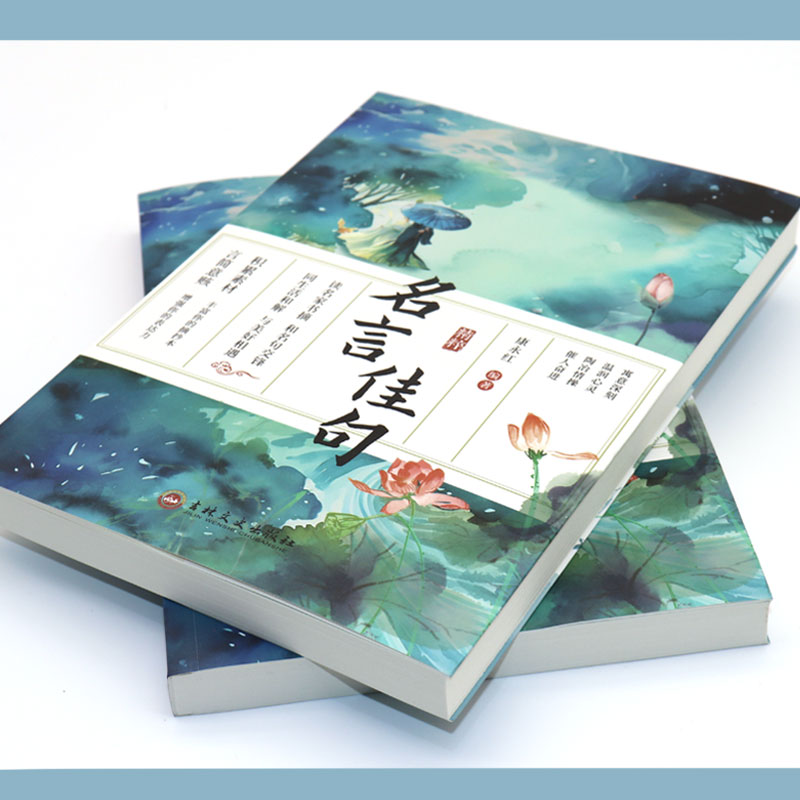 [定制版]名言佳句 [正版]名言佳句 名言名句大全名言名句词典 中外世界名人名言语录高考语文课外工具书经典语录励志格言警高清大图
