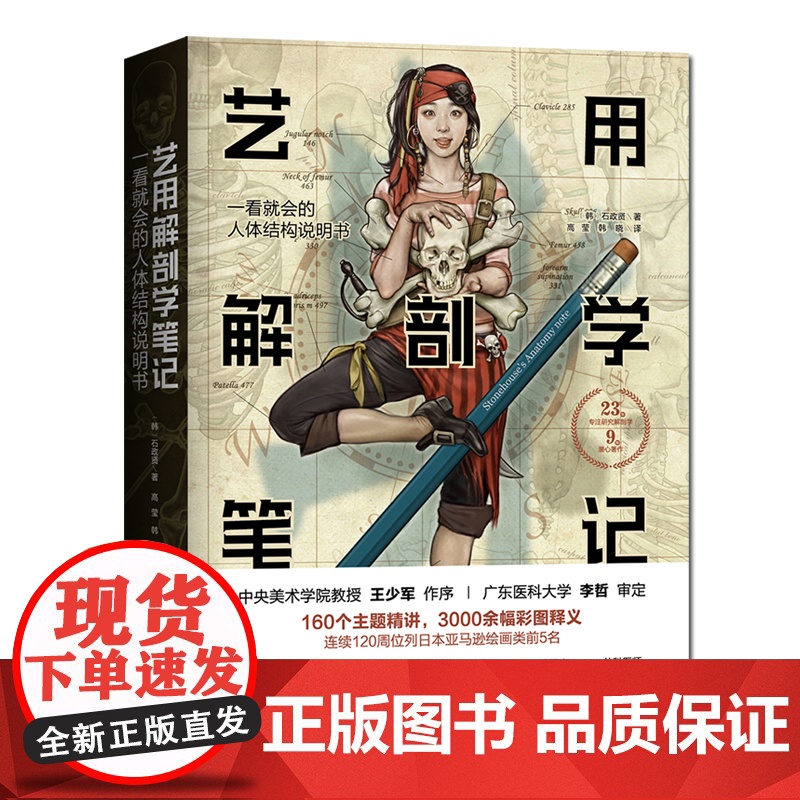 艺用解剖学笔记 韩国大触石政贤 伯里曼的黄金搭档 绘画理论图谱 人体结构素描教程人体肌肉李哲图书 北京科学技术出版社现高清大图