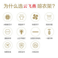 云飞燕电动 晾衣机 讴歌红消毒风干自由伸缩四杆B-12OFX4S 一键升降智能30米遥控大LED平板照明铝合金晾衣架