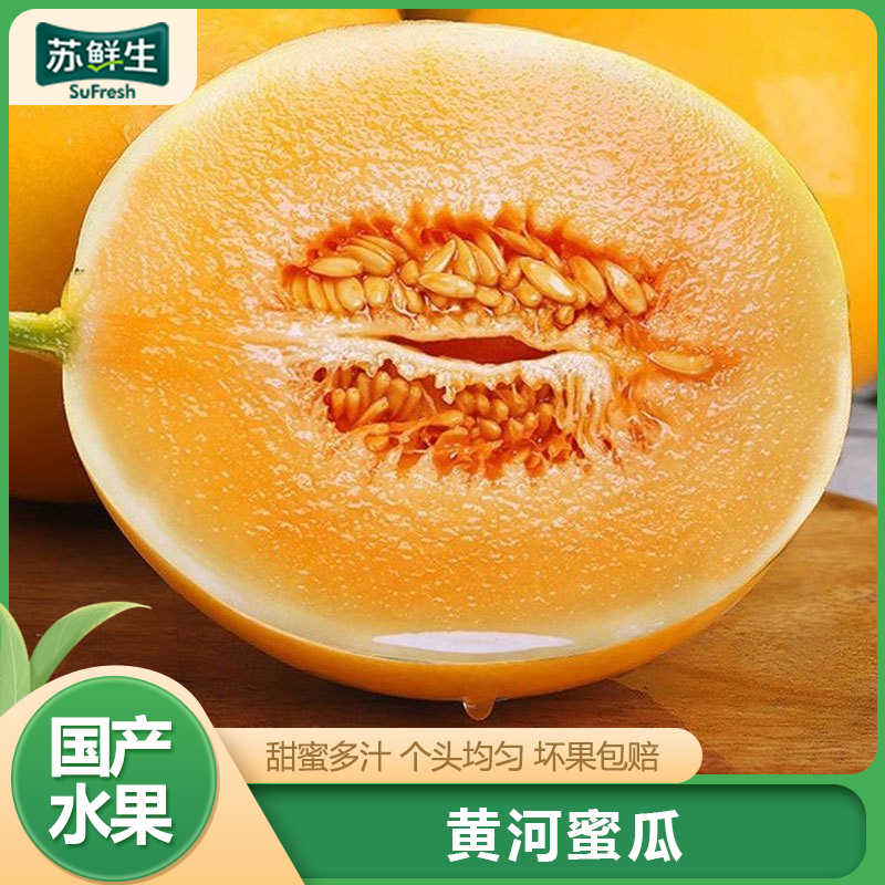 【苏鲜生】新鲜黄河蜜瓜 净重8斤 2-4个