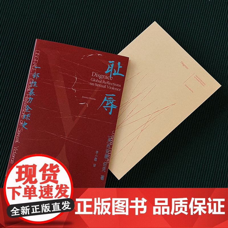 耻辱:一部性暴力全球史学术著作现代研究社会文化 [英]乔安娜·伯克JoannaBourke伦敦大学伯贝克学院历史学教授英高清大图