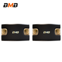 BMB CSV900音箱 卡拉OK音箱 专业KTV包房音箱 家用 客厅K歌音响 12英寸卡包专业音箱