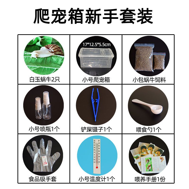 小包蜗牛椰土 宠物白玉蜗牛大小活体套装巨型观赏学生科学实验巨型褐云玛瑙螺