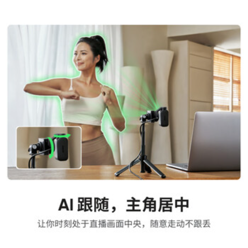 影石(Insta360) 网络摄像头Link2&2C 石墨黑-云台款收音套装高清大图