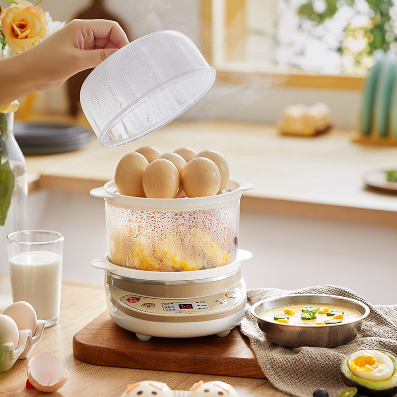 小熊(Bear)煮蛋器 双层全自动断电 微电脑预约定时 家用蒸煮多功能蒸蛋器 蛋羹机ZDQ-C14A1