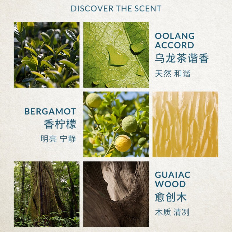 苏宁 欧珑 无极乌龙护手霜 30ml(偏远地区不发货)高清大图