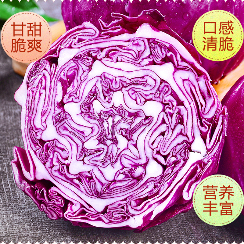 [西沛生鲜]云南新鲜紫甘蓝卷心菜 净重2-3斤 紫甘兰莲花包心菜 当季新鲜蔬菜高清大图