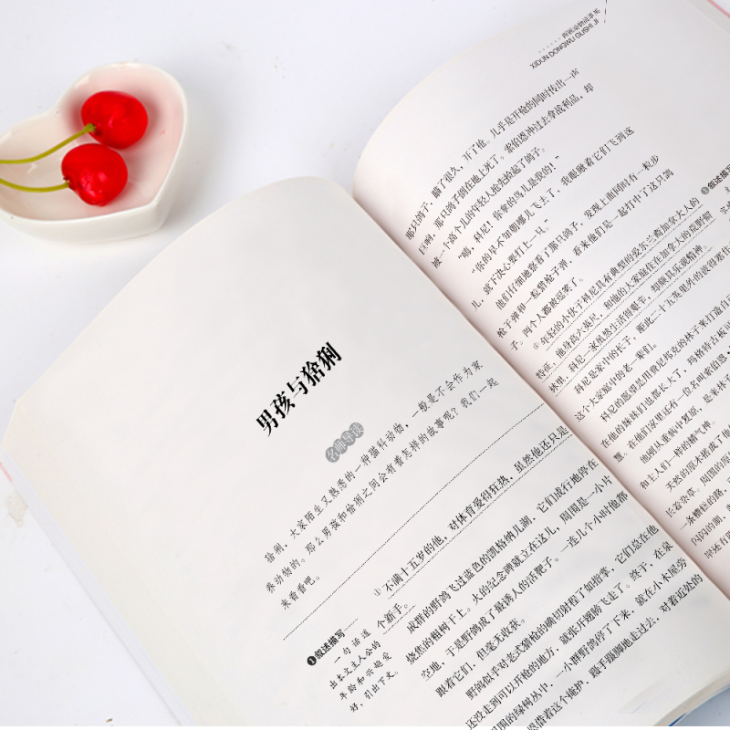 西顿动物故事集 [正版]西顿动物故事集 西顿动物记 西顿动物故事集动物小说全集三四五六年级课外书必读小学生课外阅读书籍儿