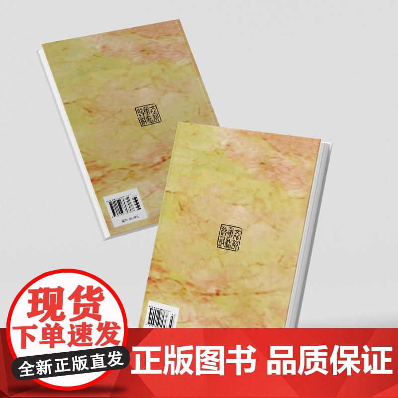 中国古代舞蹈史教程 舞蹈卷 袁禾著 中国艺术教育大系 中国舞蹈文化发展历史 舞蹈表演创作 舞蹈艺术教材书籍 上海音乐出版高清大图