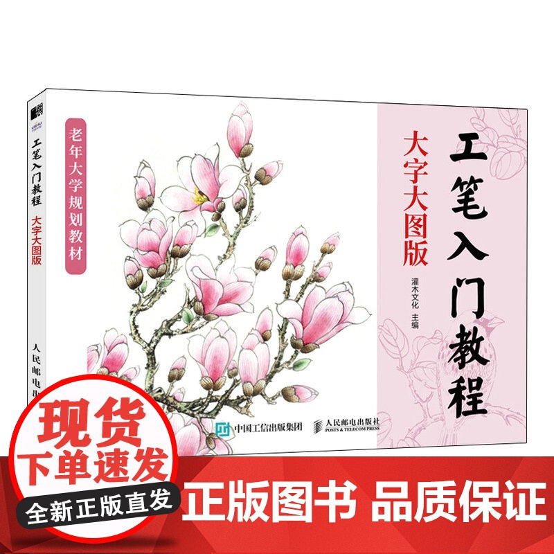 工笔入门教程 大字大图版 正统工笔花鸟技法入门基础教程书中老年人学国画中国工笔画稿白描勾线上色涂色花鸟技法入门临摹高清大图
