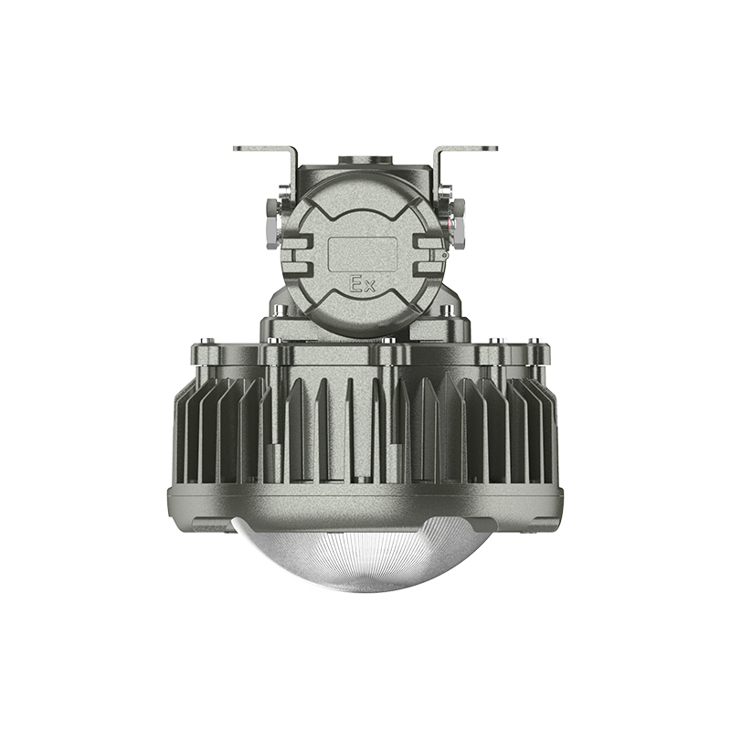 欧辉照明 (OHUIZAOMIN) OHBF8231-A-100W-吸顶款 LED防爆灯 套 1 付款后15天内发货高清大图