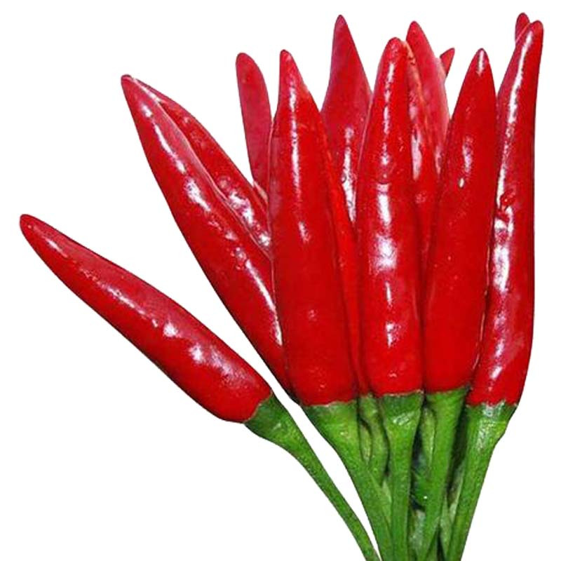 津沽园艺蔬菜种子辣椒种子朝天椒红朝天椒种子阳台种植