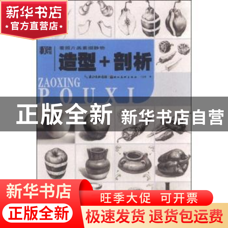 正版 看照片画素描静物:造型+剖析 丁立龙著 湖北美术出版社 9787高清大图