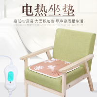 电加热坐垫办公室电热垫小电热毯宠物加热垫车载电热毯坐垫暖脚垫