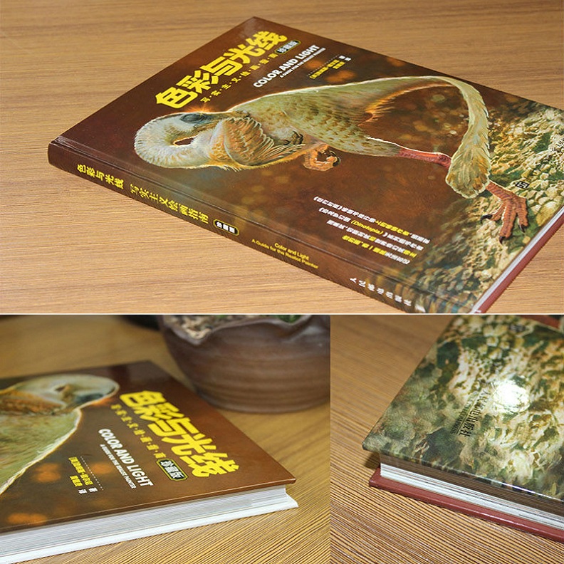 [醉染正版]色彩与光线写实主义绘画指南贵哥翻译艺术画画入门书籍色彩设计书色彩与光线运用技法教程书籍 水彩教程光影魔法手绘高清大图