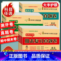 [3本套/人教版]语文+数学+英语试卷 三年级下 [正版]一年级二年级三年级四五六年级上册下册试卷测试卷全套人教版语文数