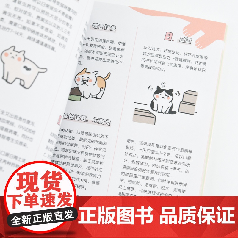 天大地大猫咪为大:漫画图解猫咪养护 李小孩儿有毛UMao猫咪科普漫画养猫手册猫咪书籍高清大图