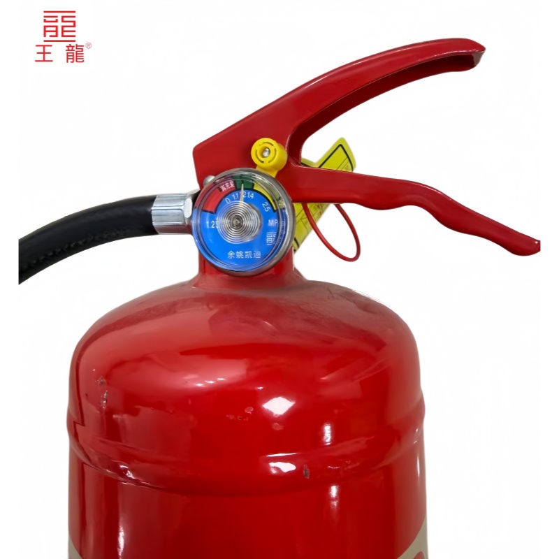 王龙 手提式水基型灭火器 3升 具高清大图