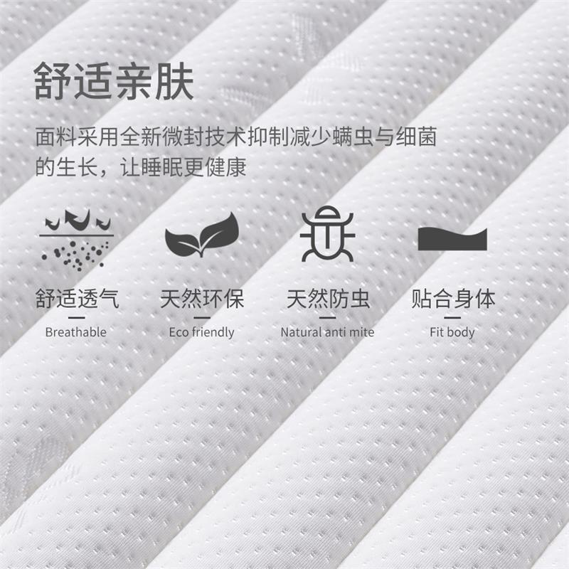 韶优 椰棕棕垫1.2米CD-1高清大图