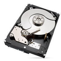 希捷(Seagate)10TB 256MB 7200RPM 网络存储(NAS)硬盘 SATA接口 希捷酷狼IronWolf系列(ST10000VN0008)私有云