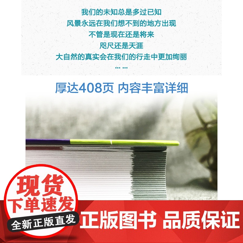中国自驾游地图集 2021 规划行车便利 精选路线详解 自驾达人采写 中国地图出版社 天域北斗数码科技有限公司编 地理地高清大图