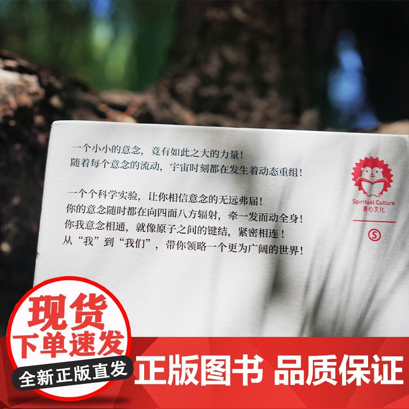 念力的秘密2心灵励志 心理学 中国青年出版社正版高清大图
