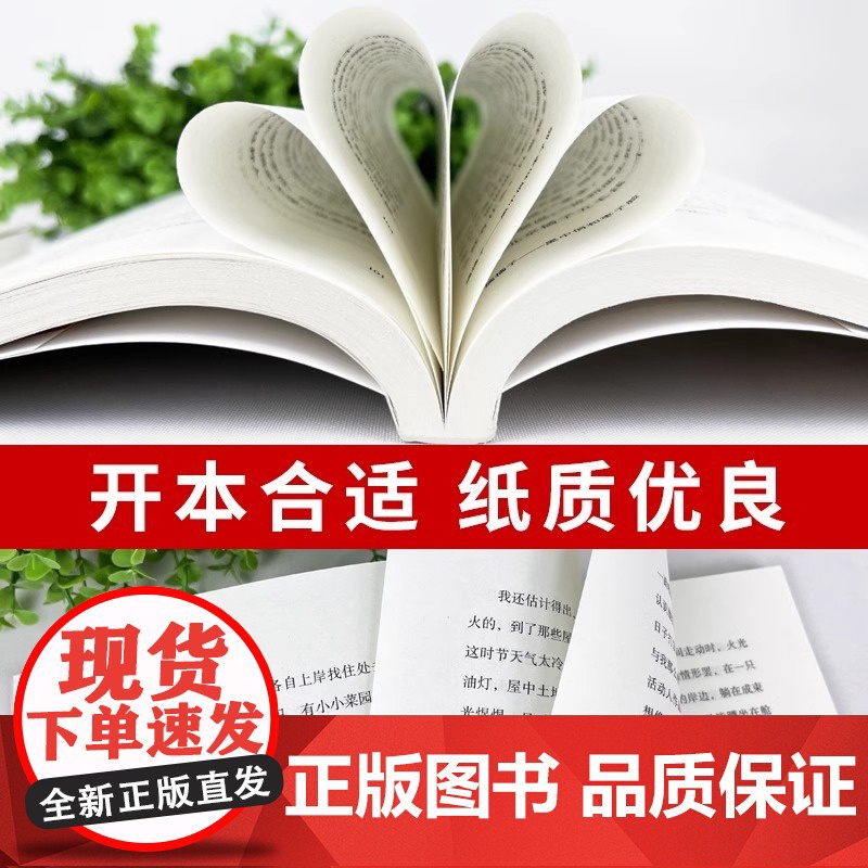 全套4册完整版无删减 沈从文的书全集湘行散记原著边城正版书从文自传长河高中生书排行榜经典文学小说作品初中生读本课外阅读高清大图