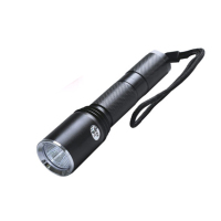 PG 防爆强光手电筒 PG-F1011 /个